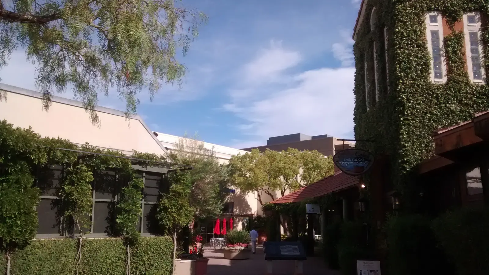 Ivy-covered shops and walkways at the Town Center in Corte Madera
