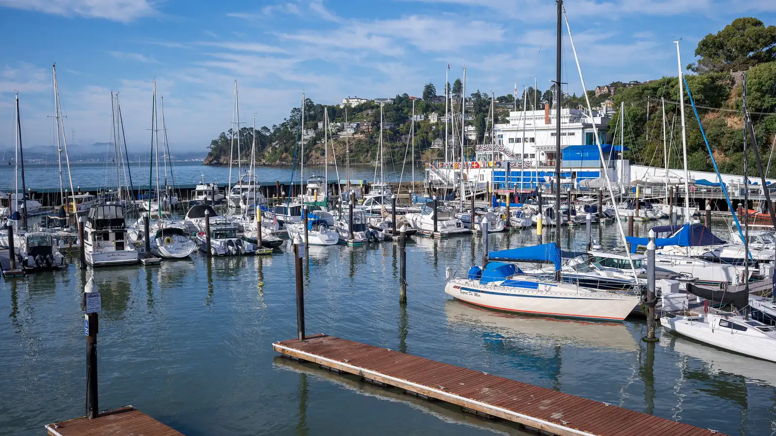 Sailboats moored at the Corinthian Yacht Club marina on the Tiburon waterfront
